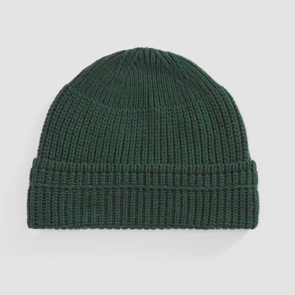 Everlane Organic Cotton Chunky Beanie