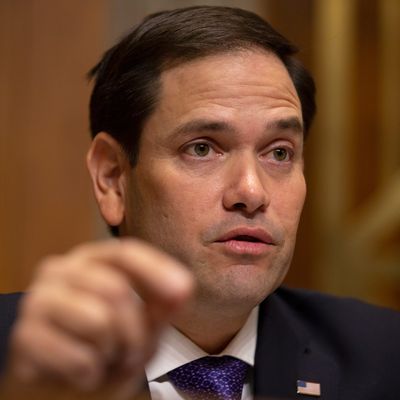 Senator Marco Rubio.