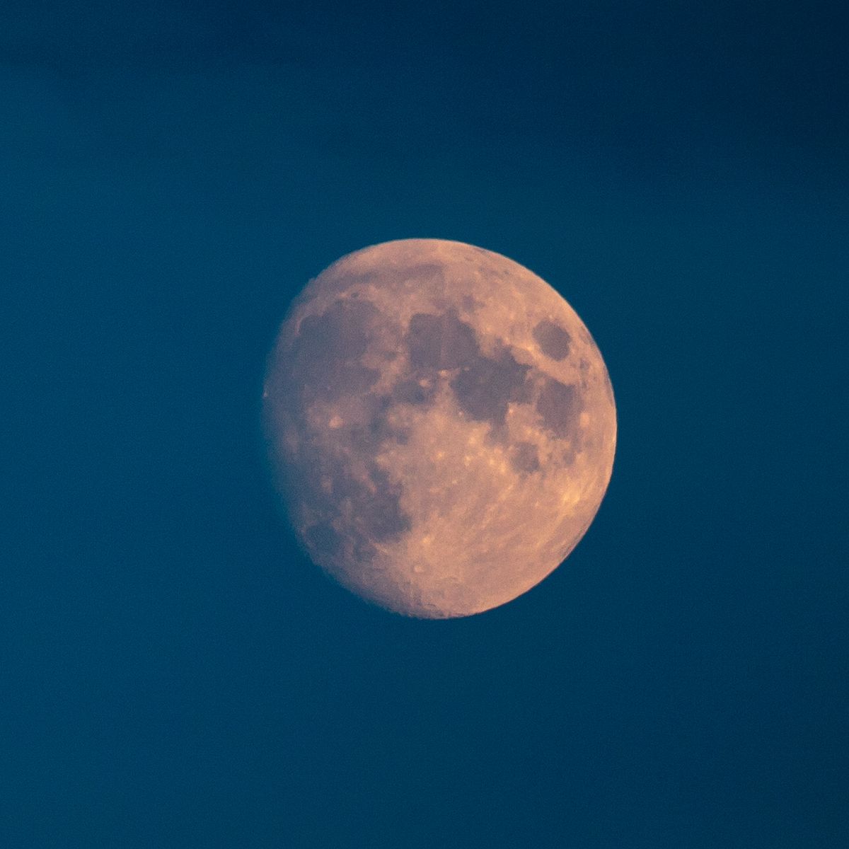 b toys light me to the moon