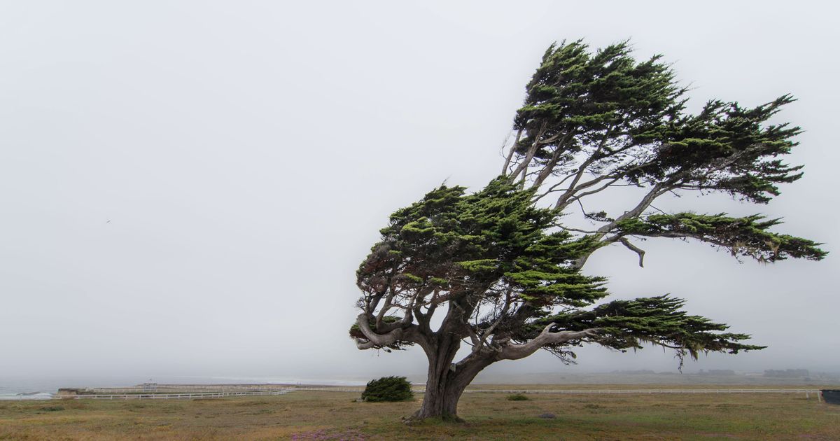 It’s Too Windy