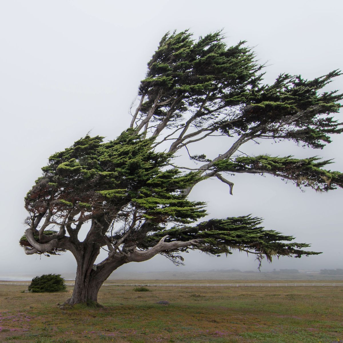 It&#39;s Too Windy