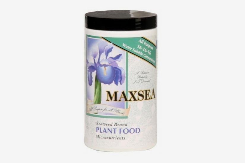 Maxsea Plant Food 16-16-16