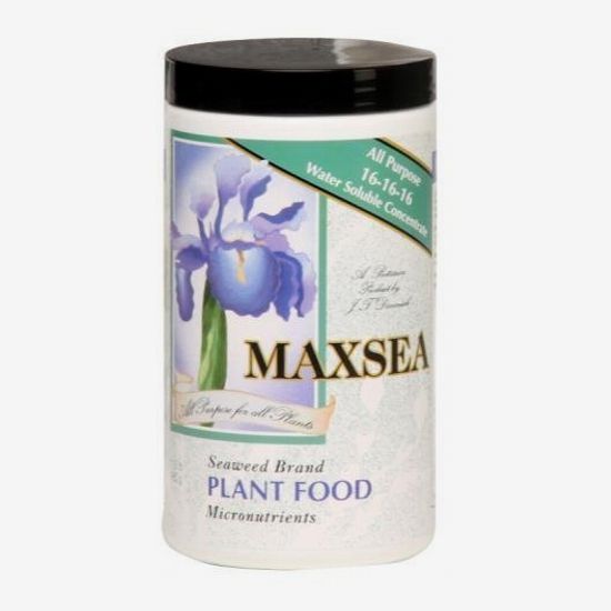 Maxsea Plant Food 16-16-16