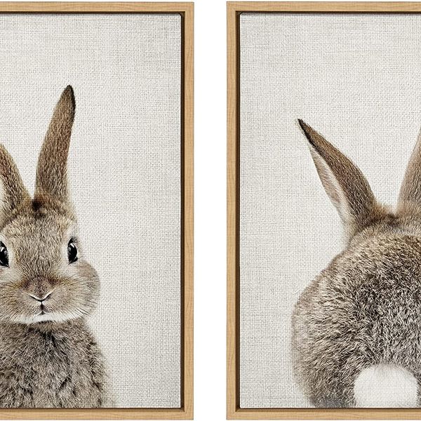 Kate and Laurel Sylvie Bunny Framed Canvas Wall Art, by Amy Peterson, 18x24 Inches