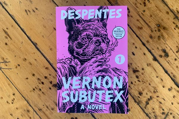 Vernon Subutex 1: A Novel by Virginie Despentes