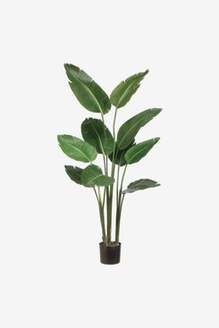 Maia Shop Olive, Artificial Tree with Natural Trunks, Made with The Best  Materials, Ideal for Home Decoration, Artificial Plant 5 feet Tall - 60