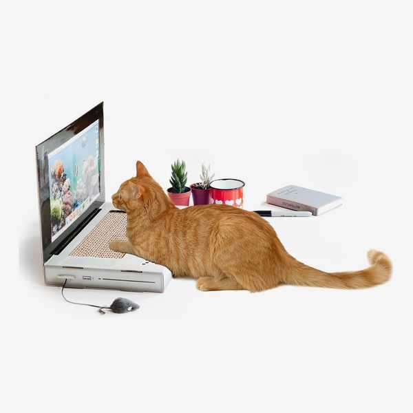 Suck UK Cat Scratcher Laptop