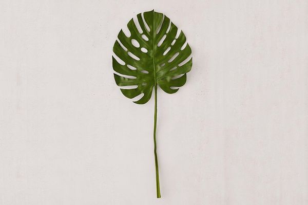 Faux Giant Monstera Leaf