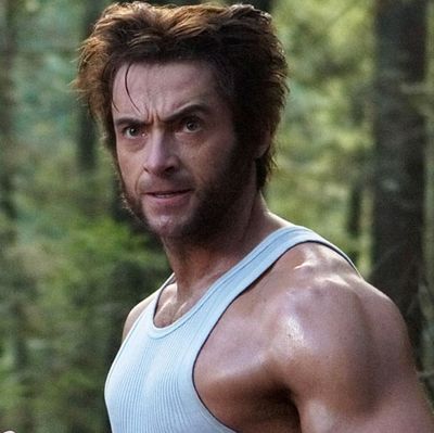 Wall Street Wolverine on X:  / X