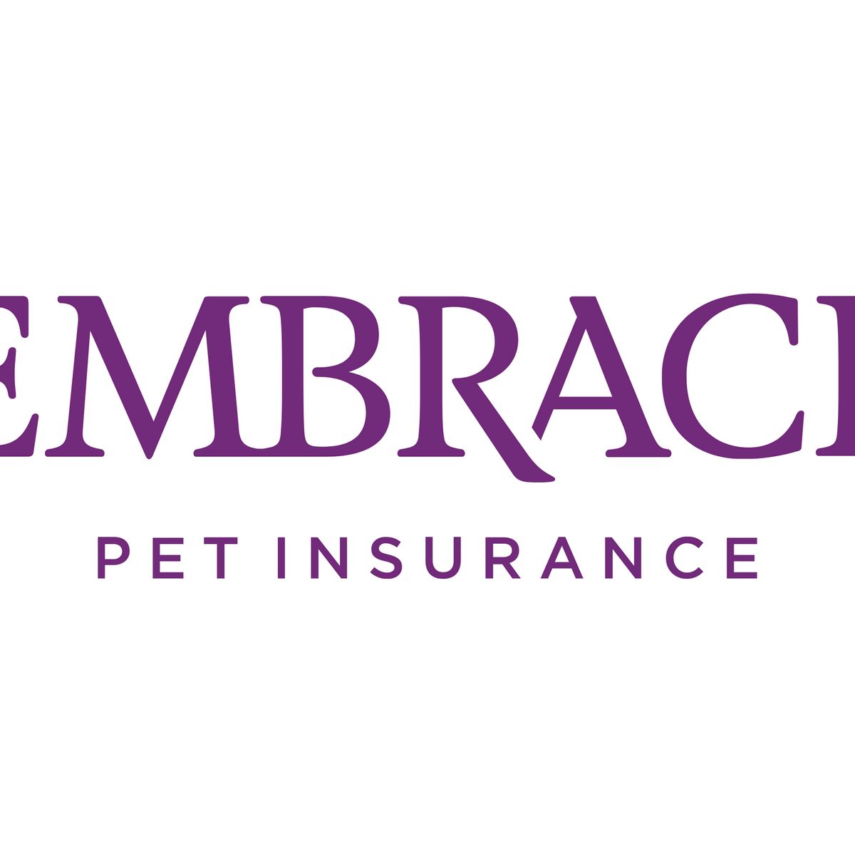 7 Best Pet Insurance Companies 2020 The Strategist New York Magazine
