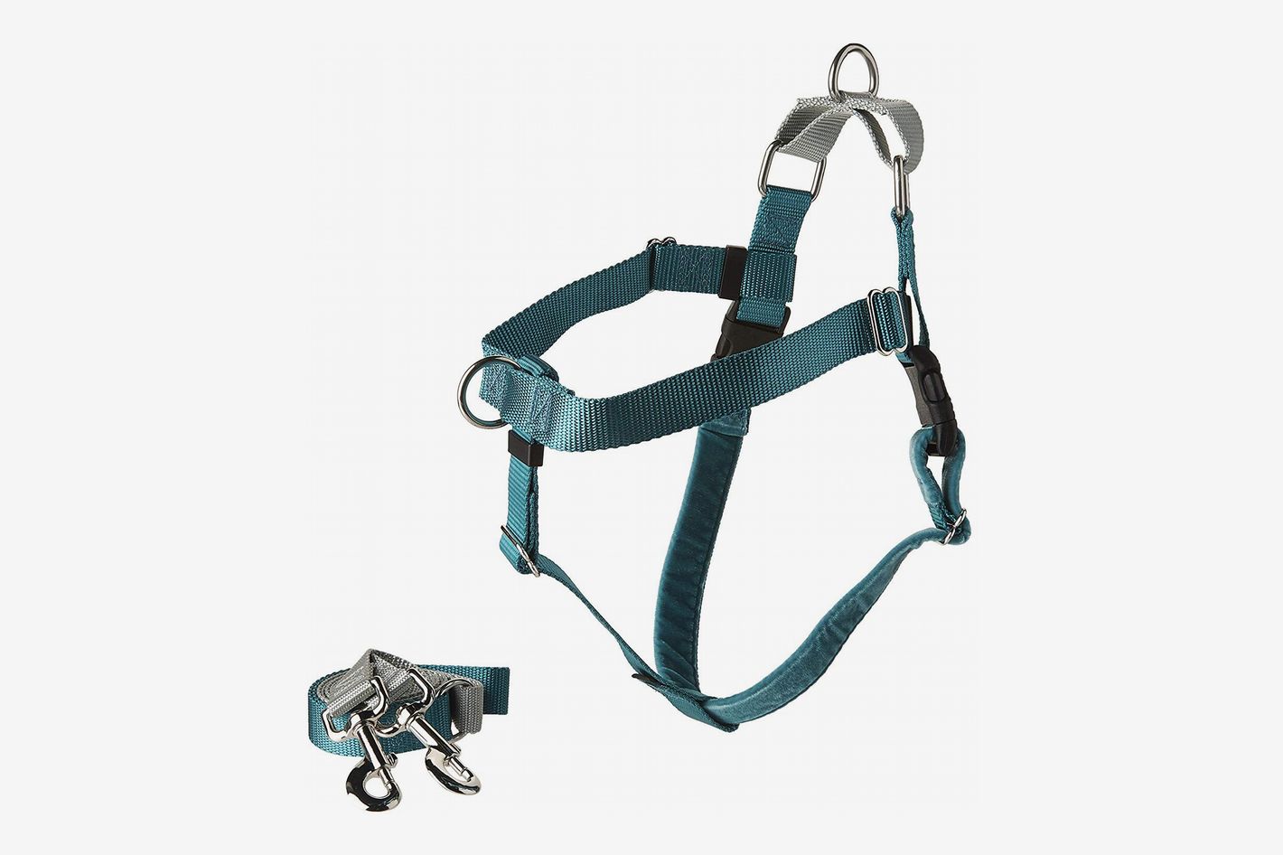 types of dog leashes and harnesses