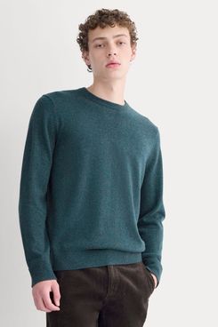Everlane The Cashmere Crew