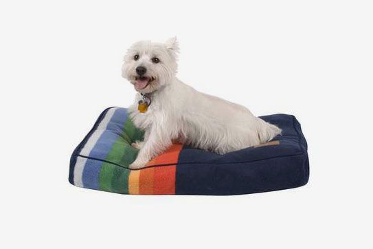 Crater Lake Small Pendleton Pet Bed