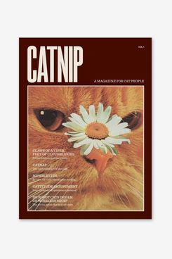 ‘Catnip’ Magazine