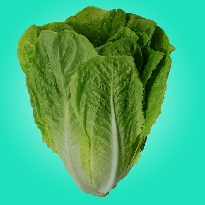 What to Know About the Romaine Lettuce Recall and E. Coli