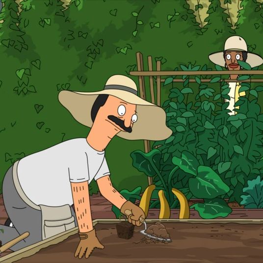 6 Best Garden Hoses The Strategist