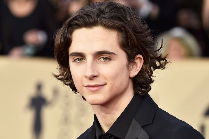 Timothee Chalamet Has Gone All Medieval On His Hair