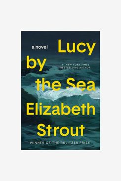 Lucy by the Sea By Elizabeth Strout