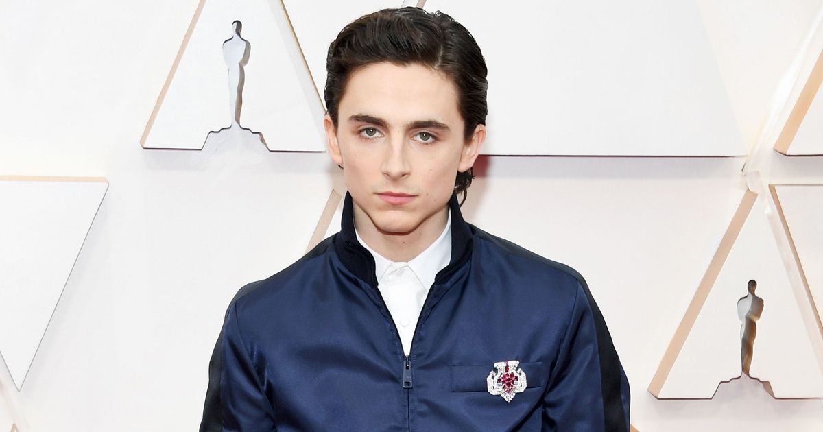 Timothée Chalamet Oscars 2020 outfit tore up the rule book