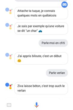 A chat proceeding between the author and Google Assistant in French, showing the Google Assistant's knowledge of French dialects.