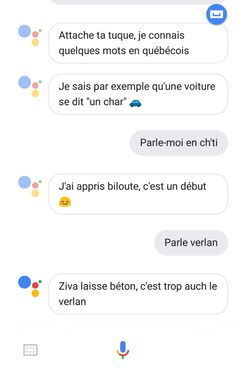 A chat proceeding between the author and Google Assistant in French, showing the Google Assistant's knowledge of French dialects.