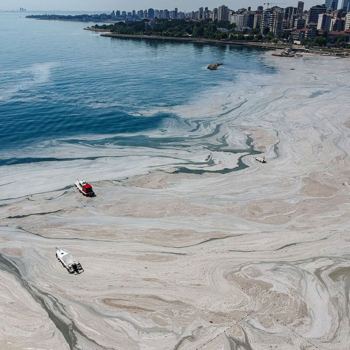 'Sea Snot' Wreaking Havoc on Coast of Turkey