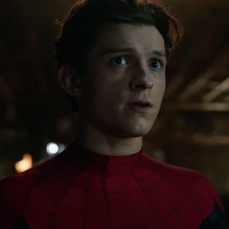 Spider-Man: No Way Home' Trailer Teases Multiverse