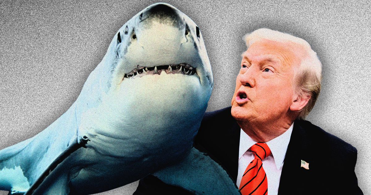Is Trump’s Paper-Straw Ban Really About His Shark Phobia?