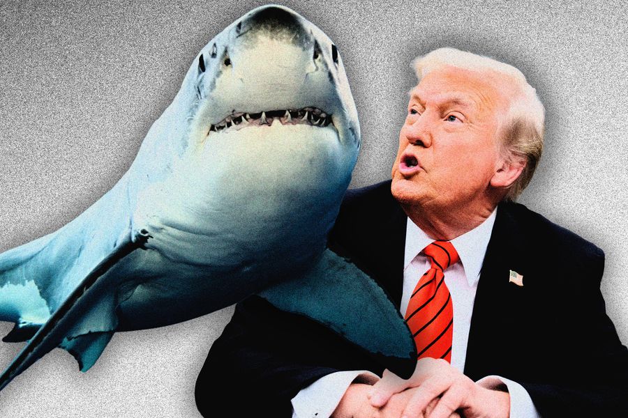 Is Trump’s Paper-Straw Ban Really About His Shark Phobia?