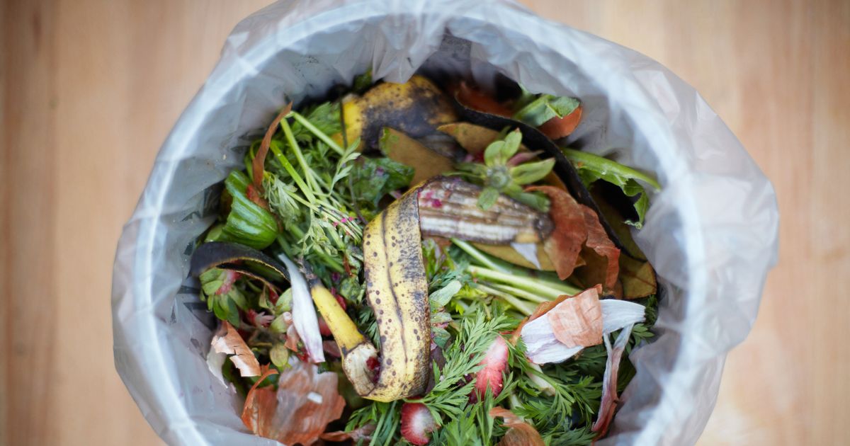 United Airlines Has Figured Out a Way to Turn Food Waste Into Fuel