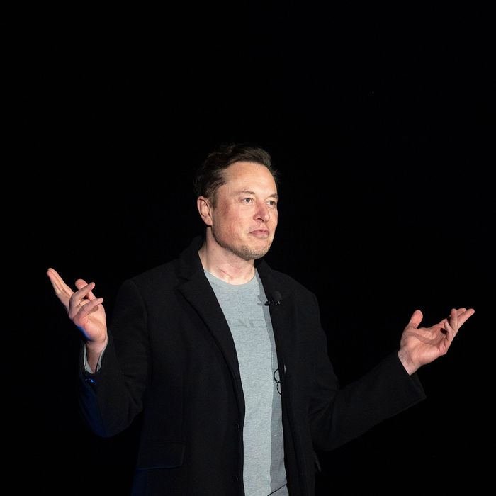 SEC Probes Elon Musk and Brother Over Twitter Poll