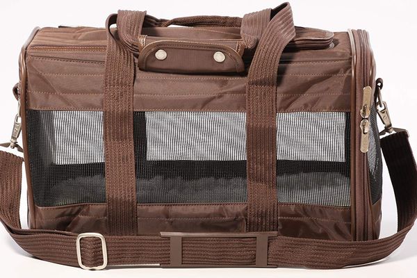 travel bag for dogs