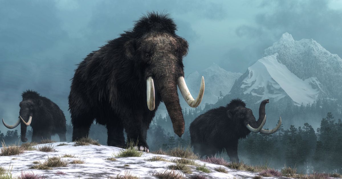 Maybe Let’s Not Try to Clone Wooly Mammoths Right Now