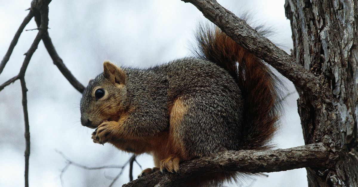 Ask Polly ‘I Can’t Sit Still.’