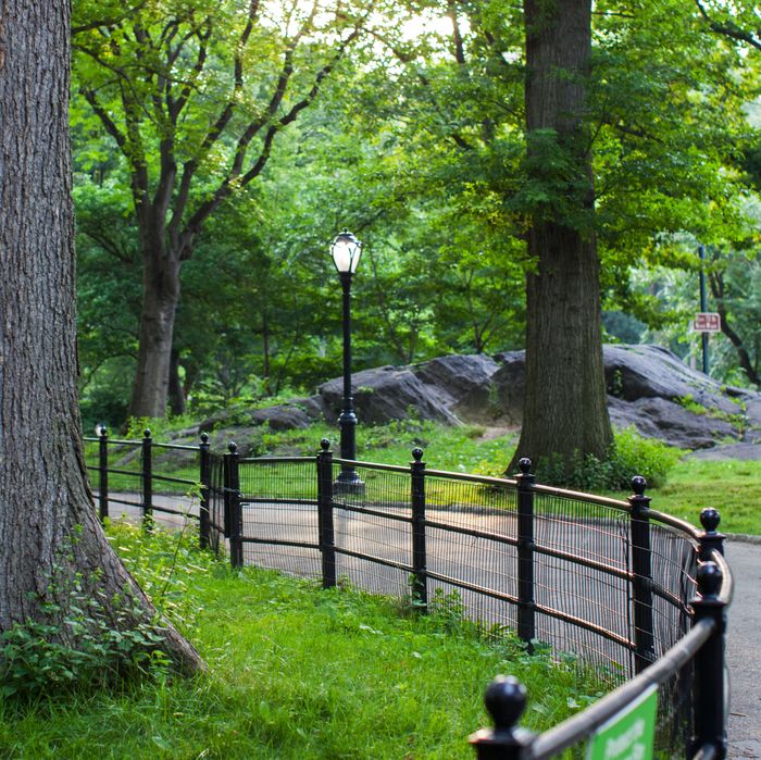 Central Park.