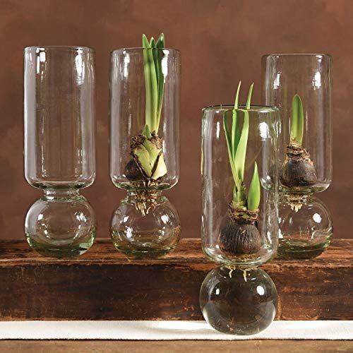 Chalily Glass Bulb Vase