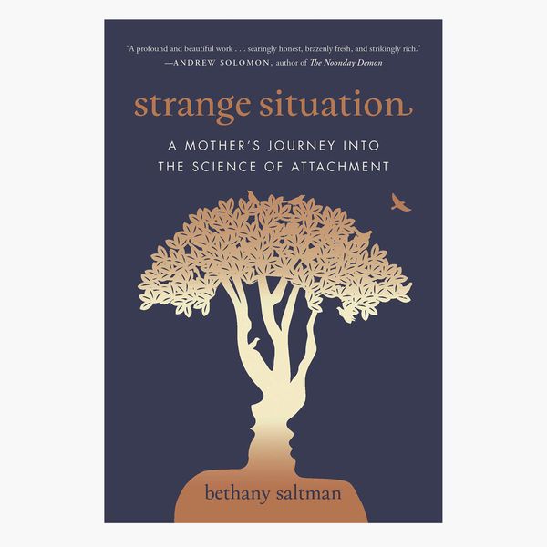 Strange Situation: A Mother's Journey Into the Science of Attachment