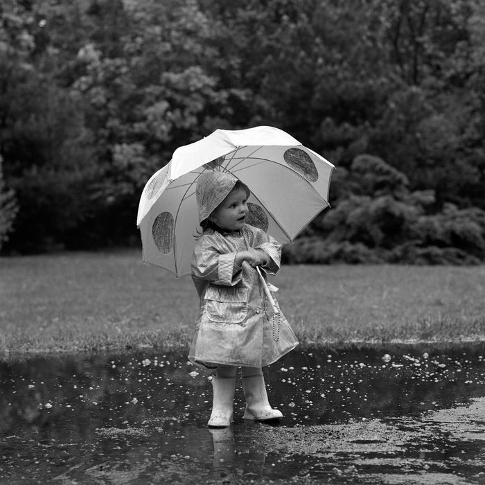 umbrella for wind and rain