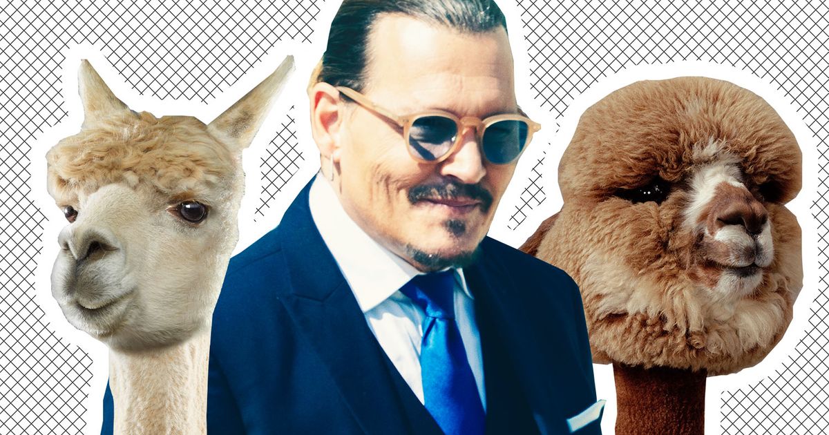 What’s Johnny Depp’s Deal With Alpacas at Defamation Trial?