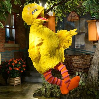 Big Bird knows how to get, how to get to Sesame Street.