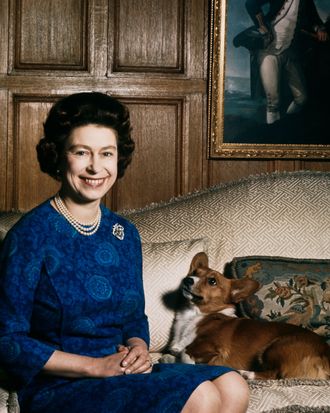 Queen’s Corgis Will Reportedly Pass to Prince Andrew