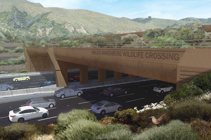World's Largest Wildlife Crossing Is Now Under Way in .