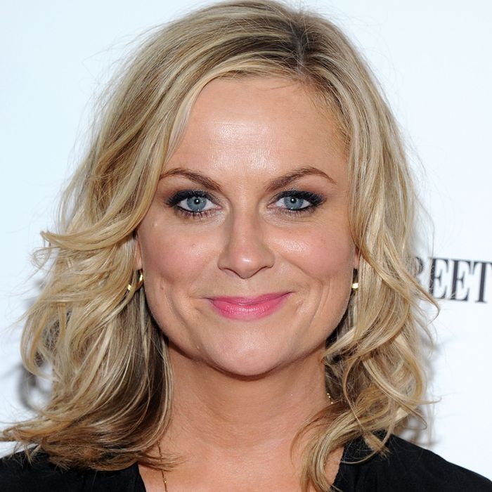 Even Amy Poehler Doesnt Know What The Mtv Movie Awards Are 