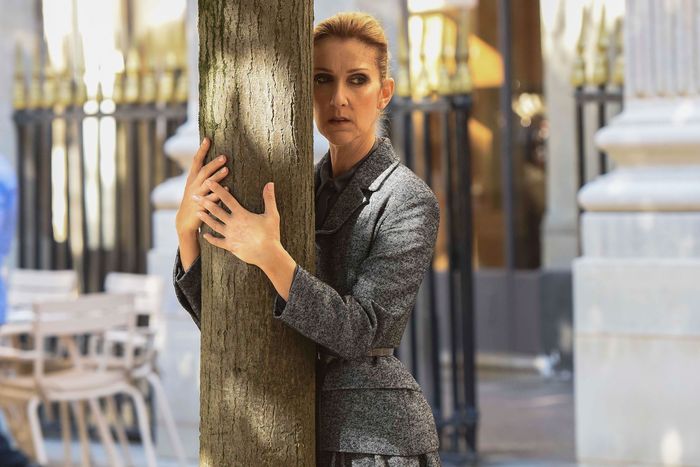 6fba6d224abac135ffb514b7485cd3ed80-07-celine-dion.rhorizontal.w700.jpg