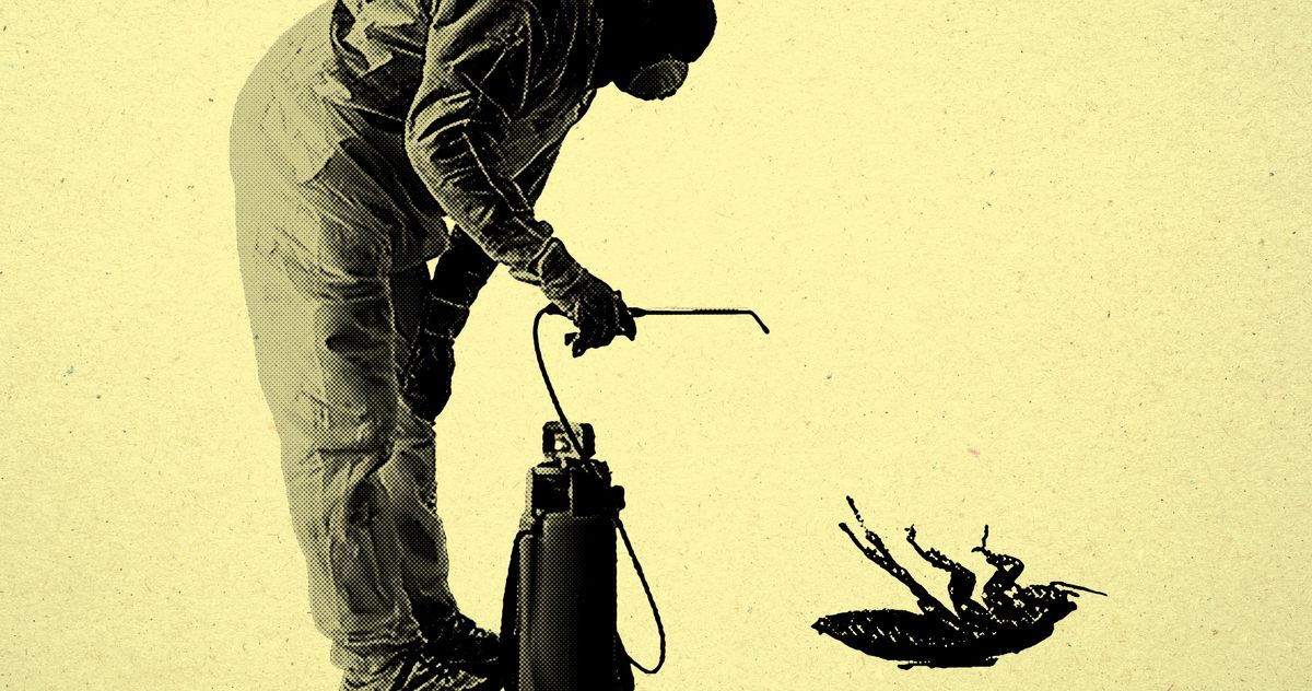 The Best Exterminators in NYC 2021