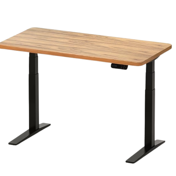 Best Standing Desk 2024