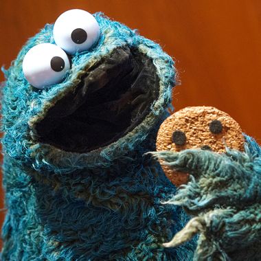 Cookie Monster Puppet built for own collection