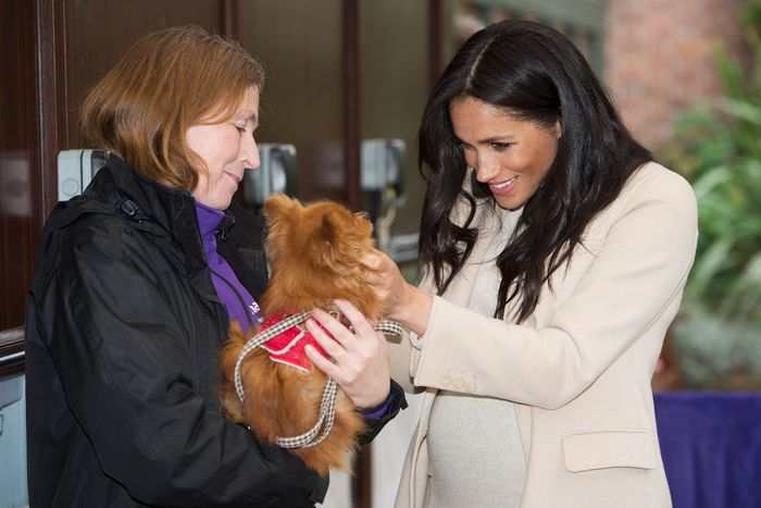 Meghan Markle Pets Dogs at Mayhew Royal Charity Outing