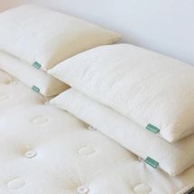 Avocado Green Pillow Adjustable Organic Bed Pillow - Queen