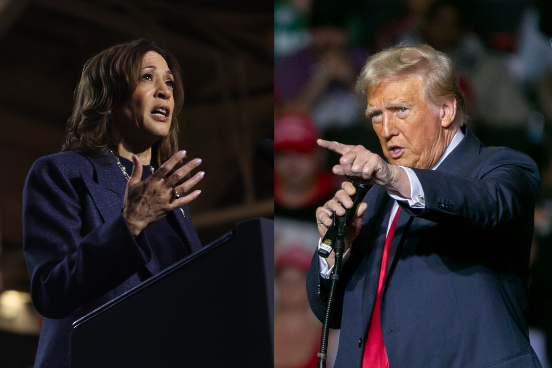 Where Are Trump and Harris Today? Campaign and Rally Schedules